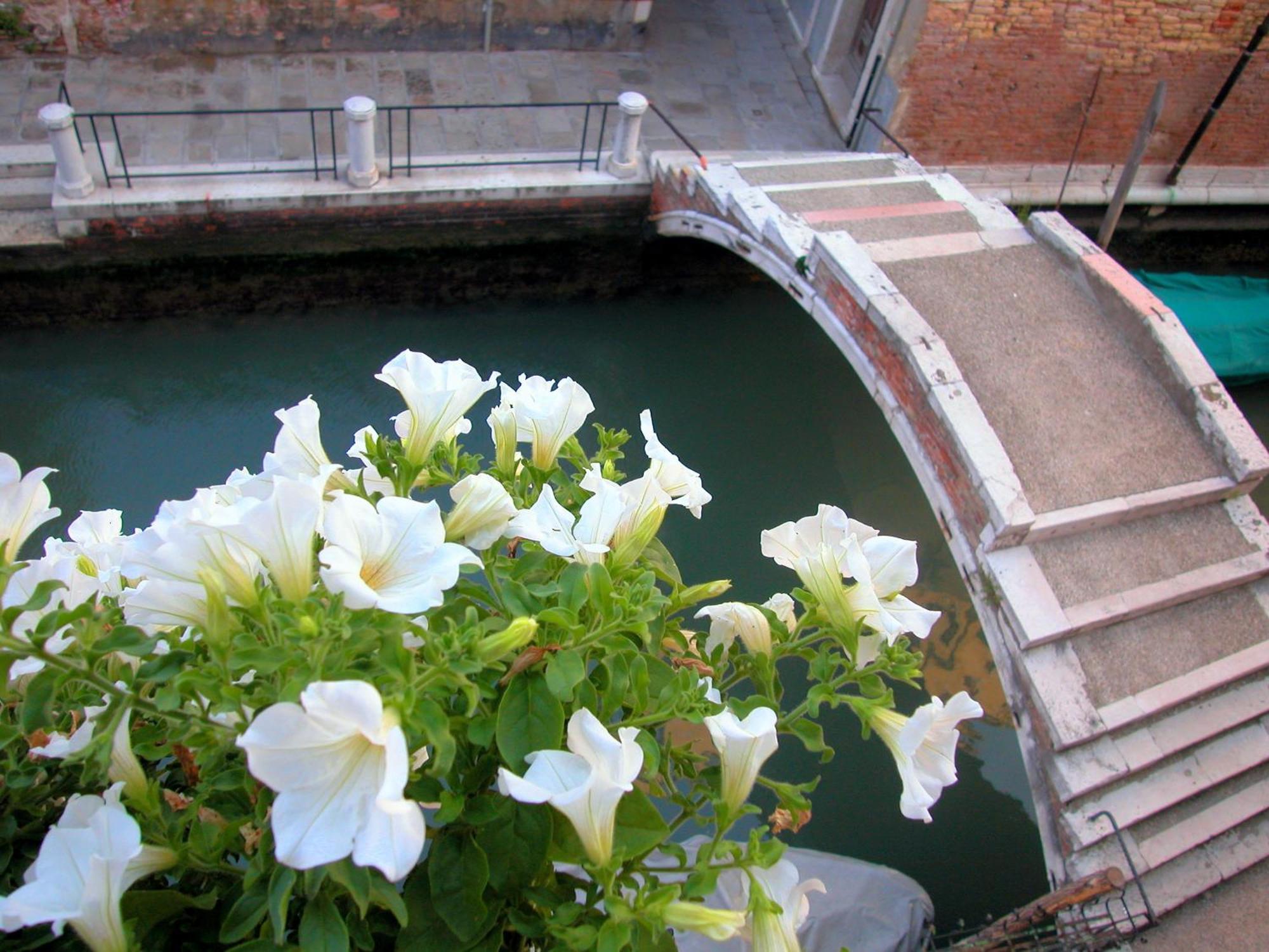 3749 Pontechiodo Veneza Quarto foto